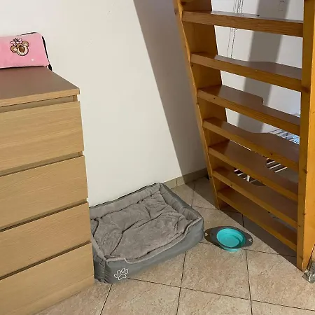 Koca Kopriva Apartma Krize