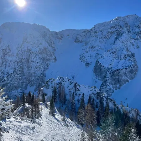 Koca Kopriva