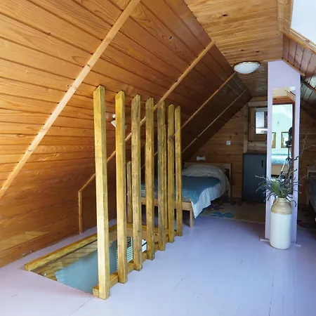 Koca Kopriva Apartment Krize