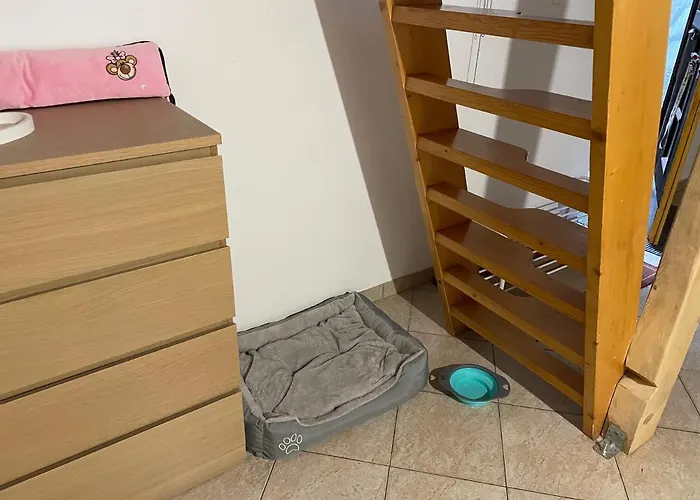 Koca Kopriva شقة Križe